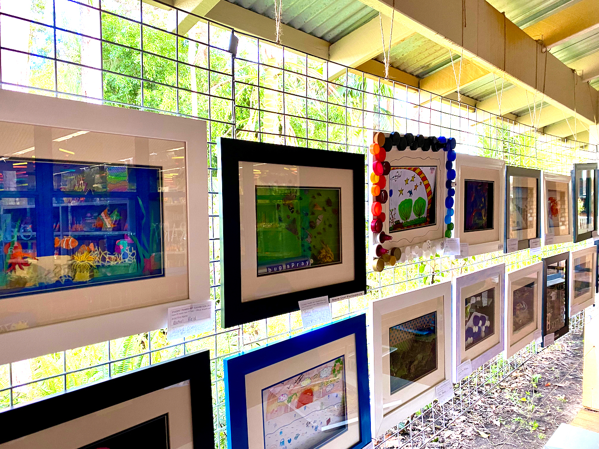 framed-student-art-exhibition-amazing-vasse-primary-school