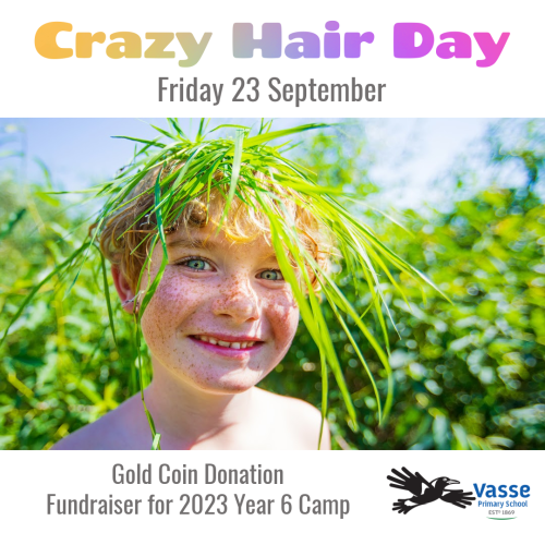 2022 T3 Crazy Hair Day 500x500 