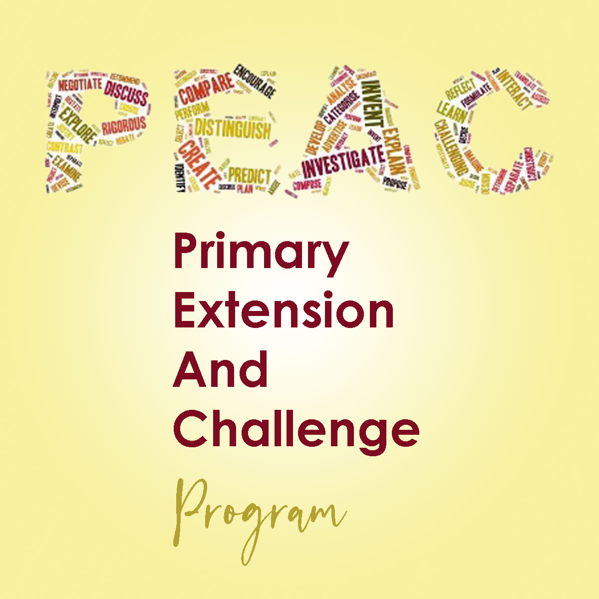 Year 3 s PEAC CHALLENGE DAY Term 2 Vasse Primary School